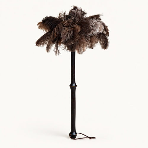 Luvamira Bamboo Reach ostrich feather duster standing upright on a warm off-white background.