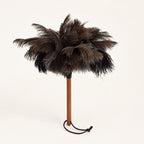 Alternate full view of the Luvamira Essential Handheld ostrich feather duster and natural feather shape.