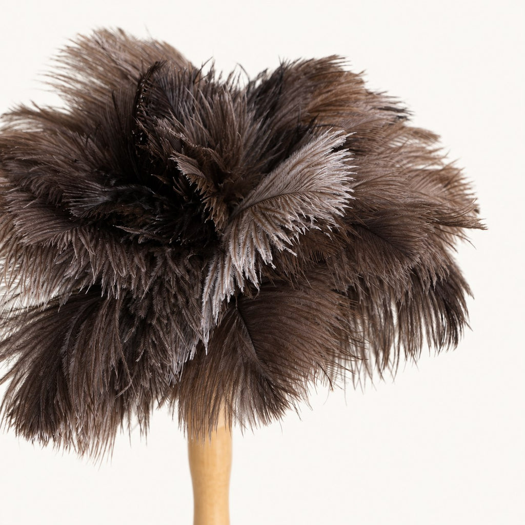 Close-up of the soft natural ostrich feather texture on the Classic Handheld duster.